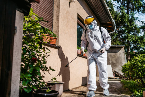 Best Insect Control  in State Center, IA