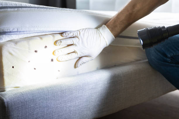 Best Commercial Pest Control Services  in State Center, IA