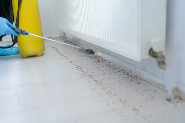 State Center, IA Pest Control Company
